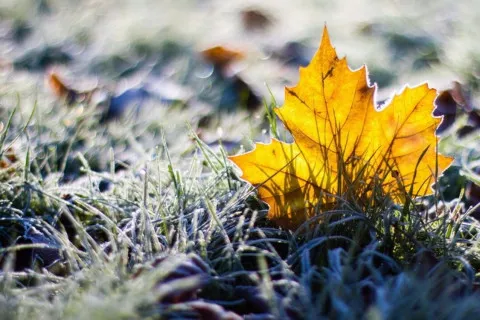 В Украину идет масштабное похолодание, которое постепенно охватит всю страну: названа дата