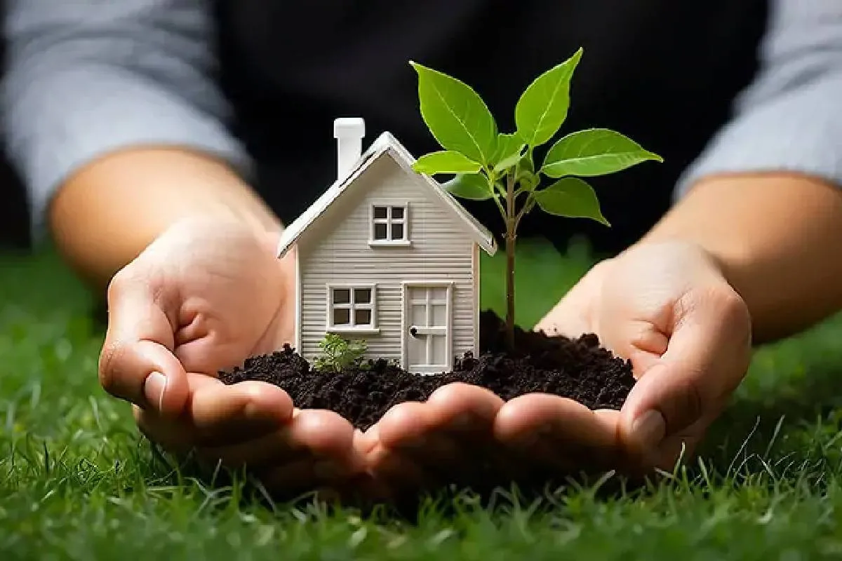 Приватизація городів під час війни: чи можуть конфіскувати вашу ділянку - today.ua