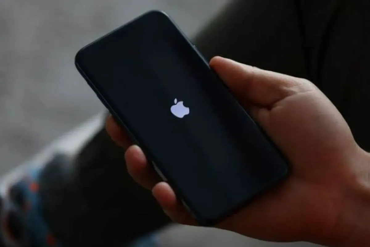 Когда покупать новый iPhone в Украине: как не переплатить и избежать мошенников - today.ua