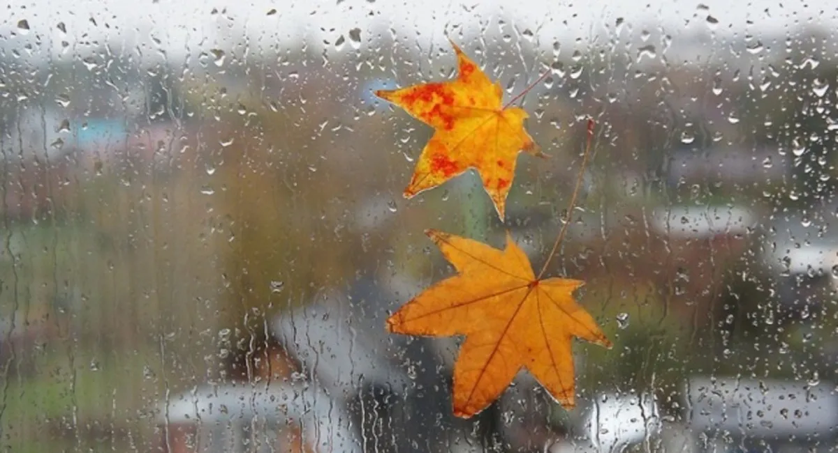 Синоптикиня попередила про циклон, що мчить до України: які області накриють дощі - today.ua