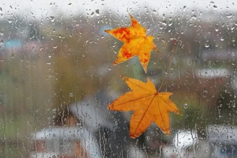 Синоптик предупредила о дождях, которые 12 сентября накроют часть Украины