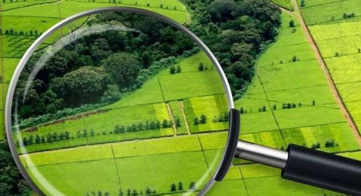 В Україні з’явилась можливість дешево купити землю - today.ua