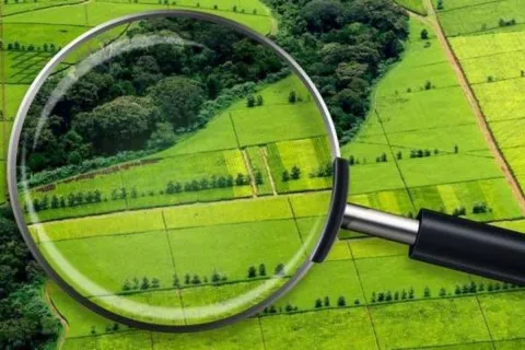 В Україні з’явилась можливість дешево купити землю