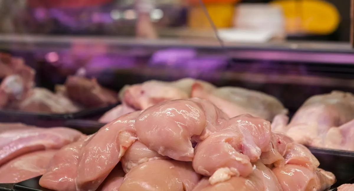 Самая опасная для здоровья курятина: какое мясо не стоит покупать ни в коем случае - today.ua