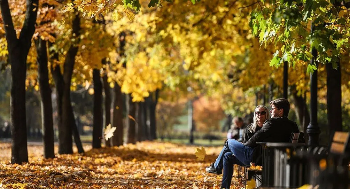 Після найхолодніших днів жовтня в Україну прийде потепління: Діденко назвала дату - today.ua