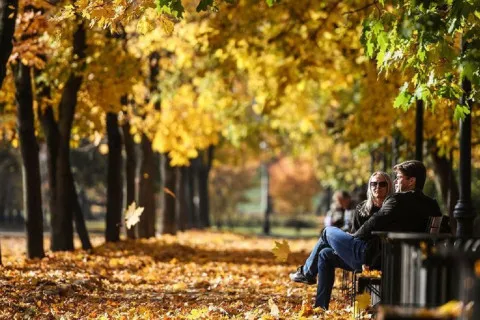 После самых холодных дней октября в Украину придет потепление: Диденко назвала дату