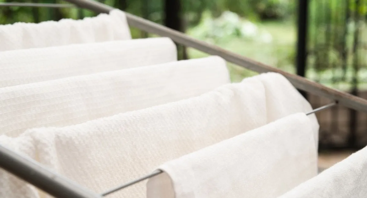 Копійчаний аптечний засіб допоможе позбутися плям та відбілити одяг краще за дорогу хімію - today.ua