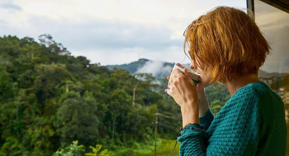 Как улучшить работу мозга: названо 5 вещей, которые нужно делать во время завтрака - today.ua