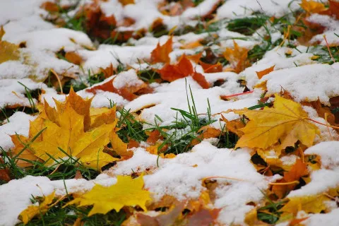 В Украину надвигается существенное похолодание: когда стоит ждать первый снег