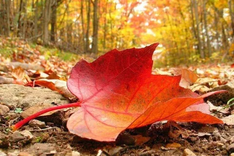 Синоптики рассказали, чего ожидать от погоды 19 сентября