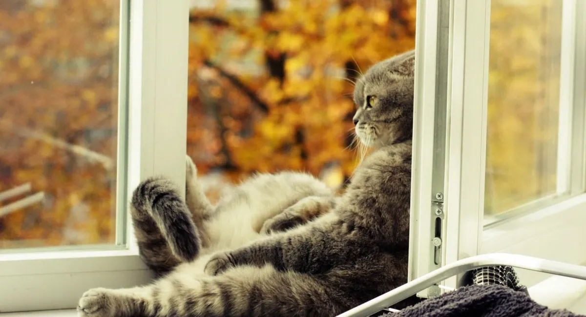 В Украину возвращается летняя жара - today.ua