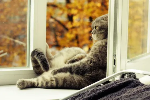 В Украину возвращается летняя жара