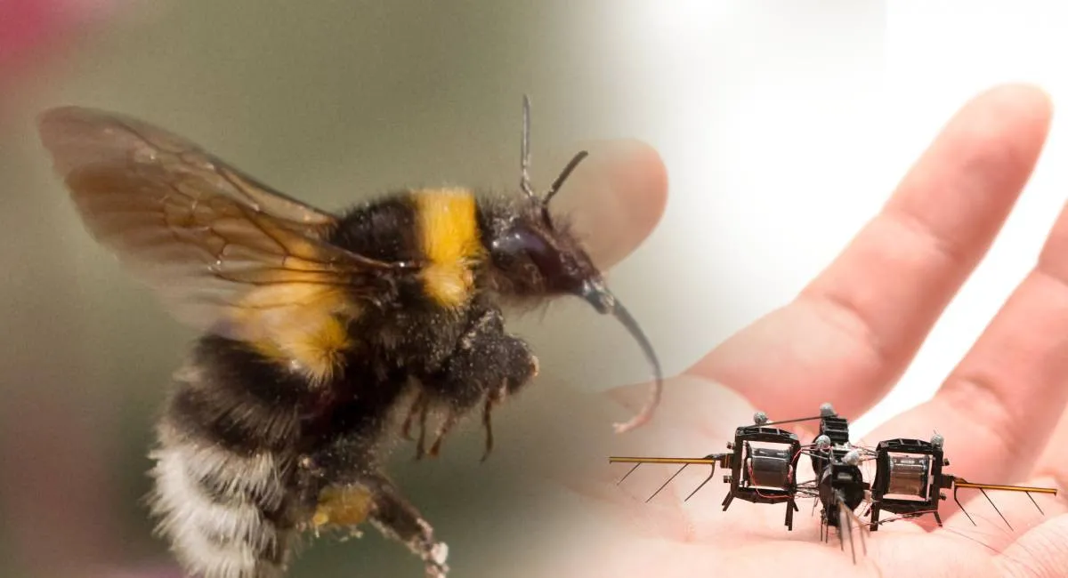 Працюватимуть на фермах та в космосі: навіщо у США розробили роботів-джмелів - today.ua