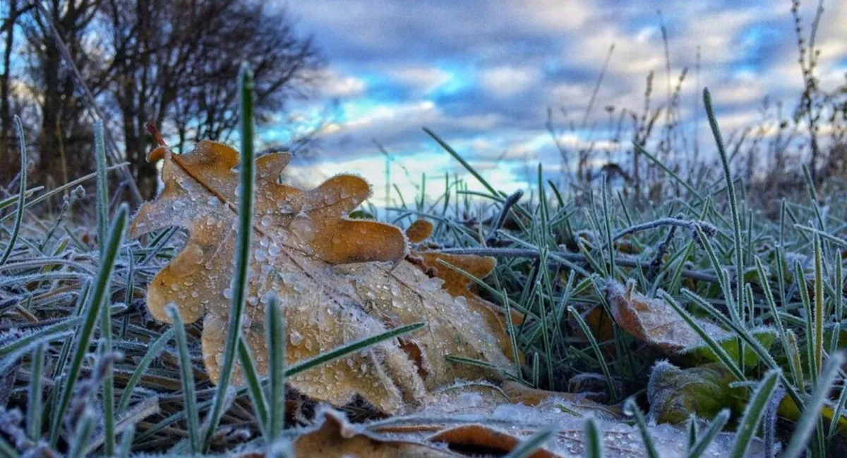 Синоптик предупредила об похолодании и заморозках в Украине: где и когда ожидать - today.ua