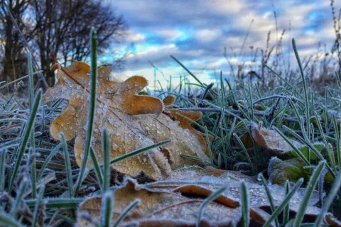 Синоптик предупредила об похолодании и заморозках в Украине: где и когда ожидать