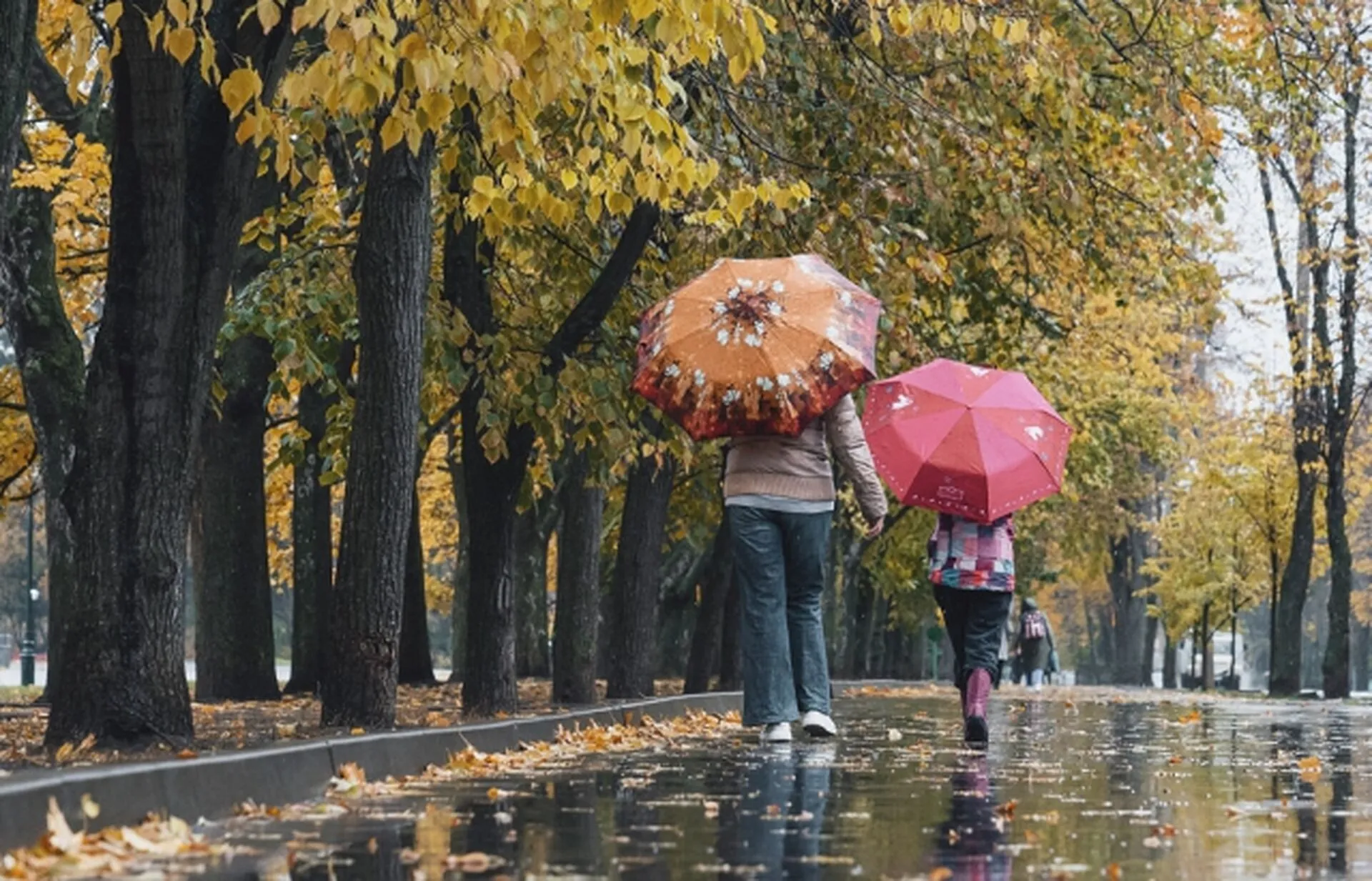 Потеплеет до +18: синоптик назвала регионы, где 23 октября повысится температура воздуха Потеплеет до +18: синоптик назвала регионы, где 23 октября повысится температура воздуха - today.ua
