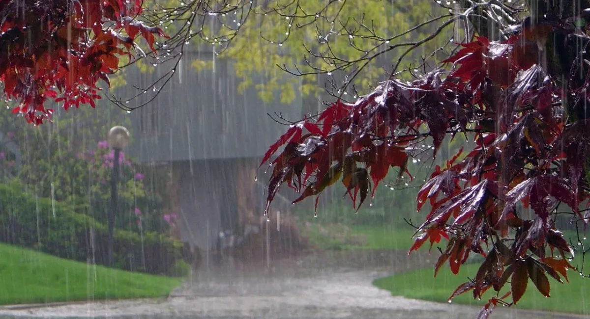 Кардинальна зміна погоди: Україну накриє дощами, але синоптики вже знають дату, коли сонце повернеться - today.ua