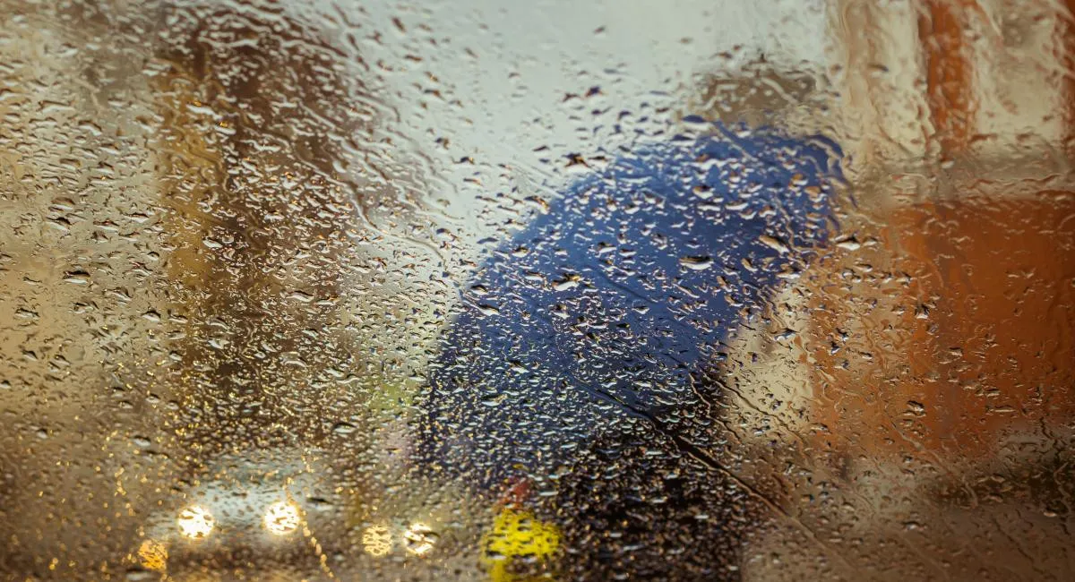 Синоптики предупредили о резком изменении погоды 11 ноября: что ждёт украинцев - today.ua