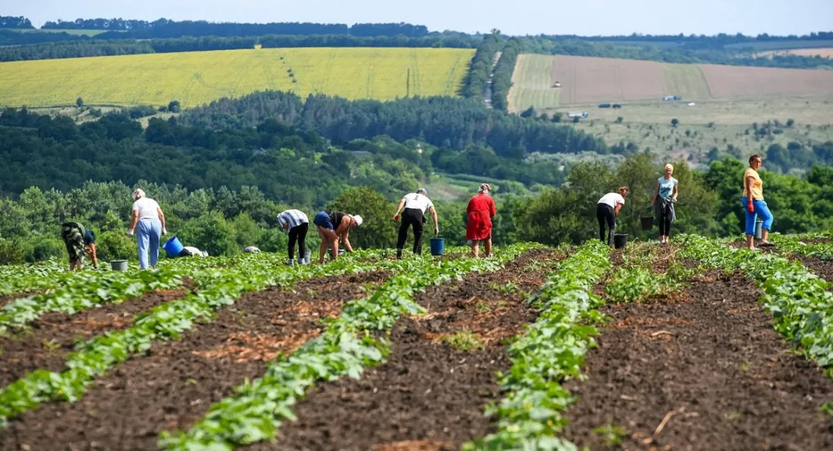 Дивовижно, але факт: попри війну, ціни на землю в Україні зросли всемеро - today.ua