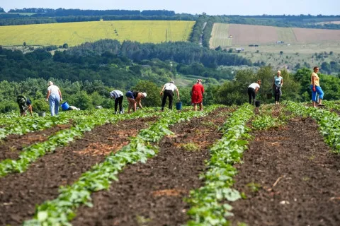 Дивовижно, але факт: попри війну, ціни на землю в Україні зросли всемеро