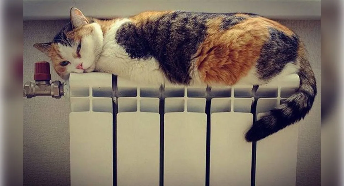 Украинцам наконец сказали правду, что может быть с отоплением зимой - today.ua