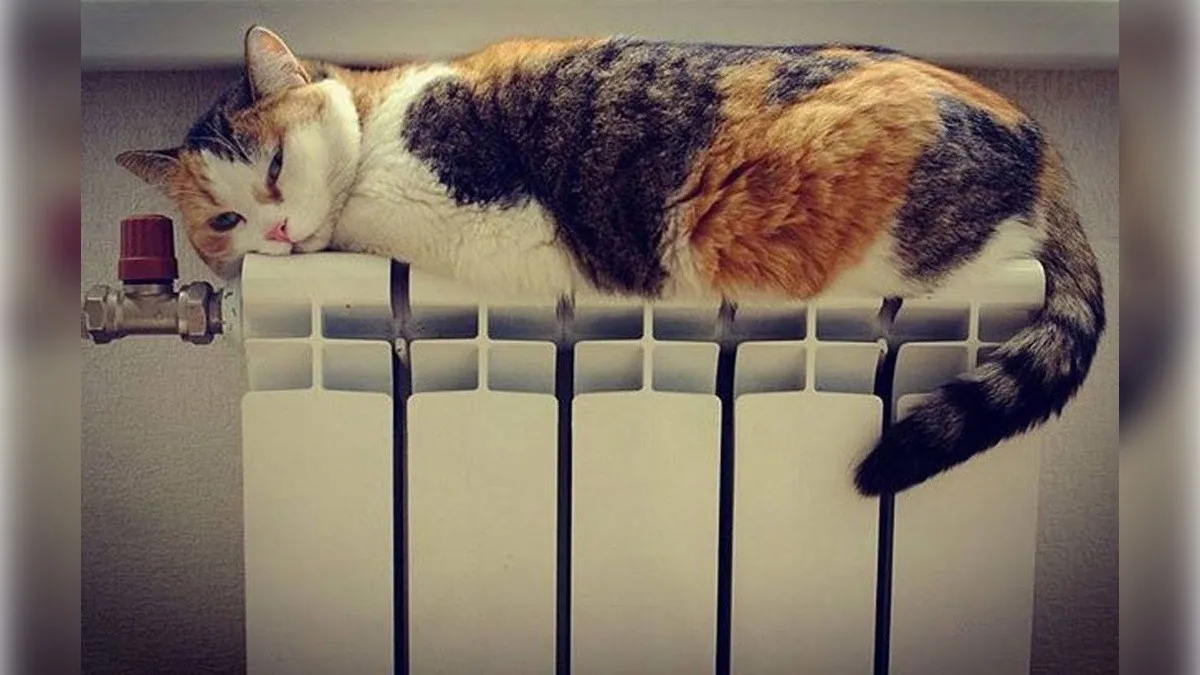 В Украину идет резкое похолодание: что говорят в правительстве о начале отопительного сезона В Украину идет резкое похолодание: что говорят в правительстве о начале отопительного сезона - today.ua