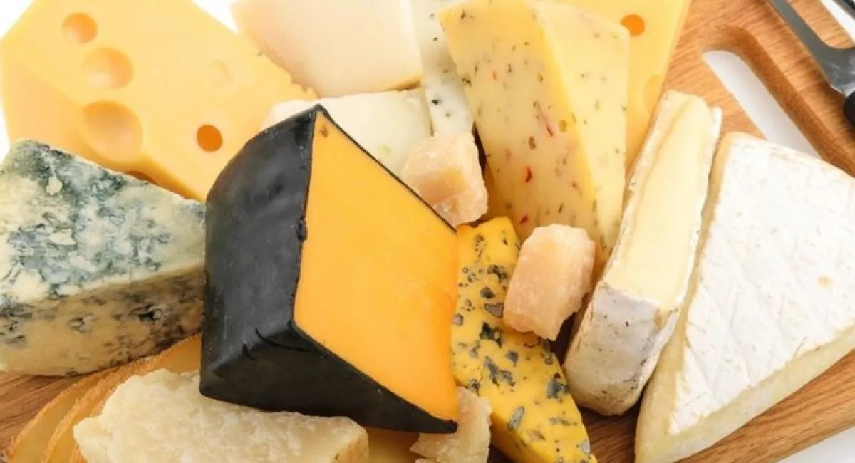 В Україні стрімко скорочується виробництво популярного продукту: чим замінимо тверді сири - today.ua