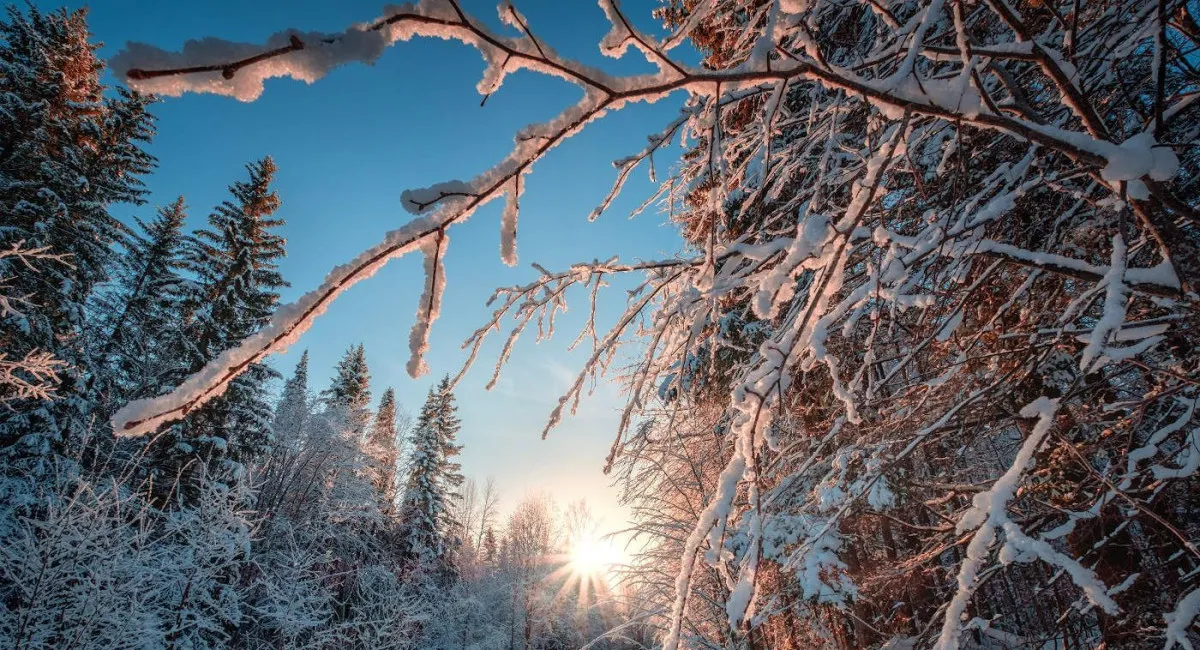 Чи варто українцям готуватися до холодної зими: що кажуть в Укргідрометцентрі - today.ua