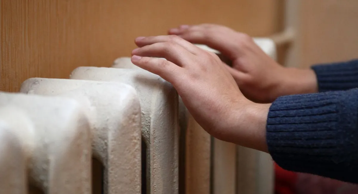 Якщо є вибір: українцям порахували, чим вигідніше опалювати будинок — газом чи дровами - today.ua