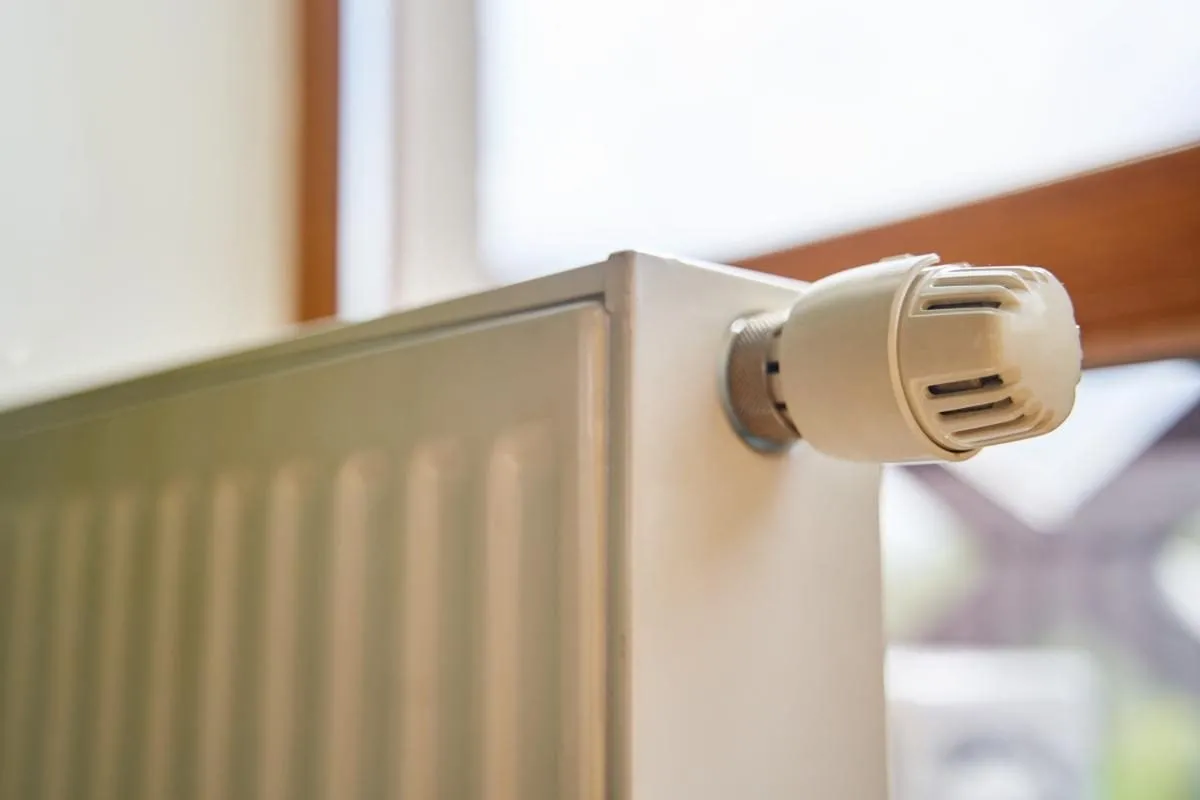 Якщо є вибір: українцям порахували, чим вигідніше опалювати будинок — газом чи дровами Якщо є вибір: українцям порахували, чим вигідніше опалювати будинок — газом чи дровами - today.ua