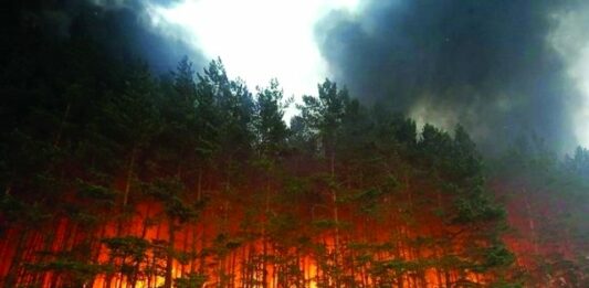 В Херсонській області не можуть загасити лісову пожежу - today.ua