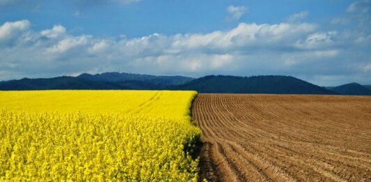 ЄСПЛ визнав порушенням прав людини мораторій на продаж землі в Україні - today.ua