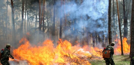 В Украине преобладает высокий уровень пожарной опасности - today.ua