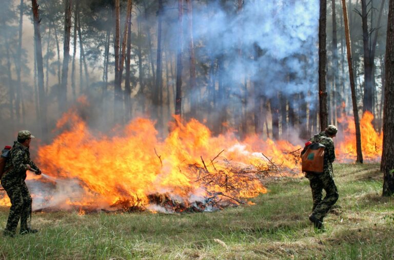В Україні переважає високий рівень пожежної небезпеки - today.ua