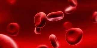 Ученые разработали технологию, которая превращает любую кровь в универсальную - today.ua