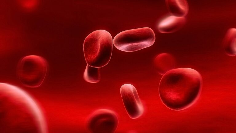 Вчені розробили технологію, яка перетворює будь-яку кров на універсальну - today.ua