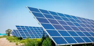 У Житомирській області з'явиться сонячна електростанція - today.ua