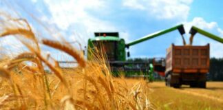 Украина получила с продаж агропродукции 8,6 млрд долларов - today.ua