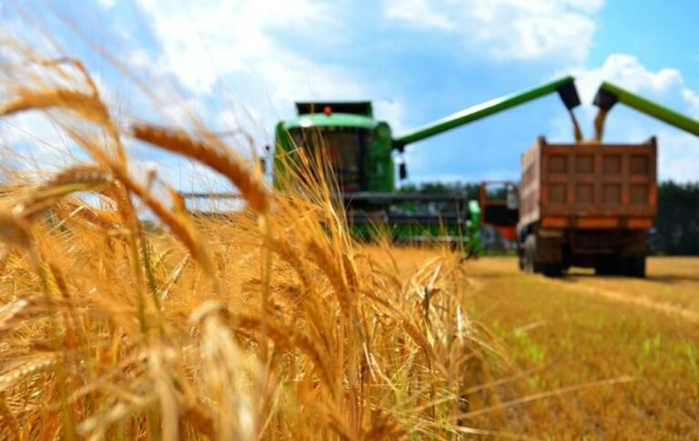 Украина получила с продаж агропродукции 8,6 млрд долларов - today.ua