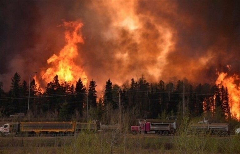 В канадской провинции сгорело рекордное количество леса - today.ua