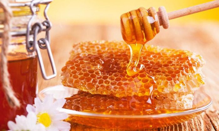 Україна займає п'яте місце серед найбільших виробників меду - today.ua