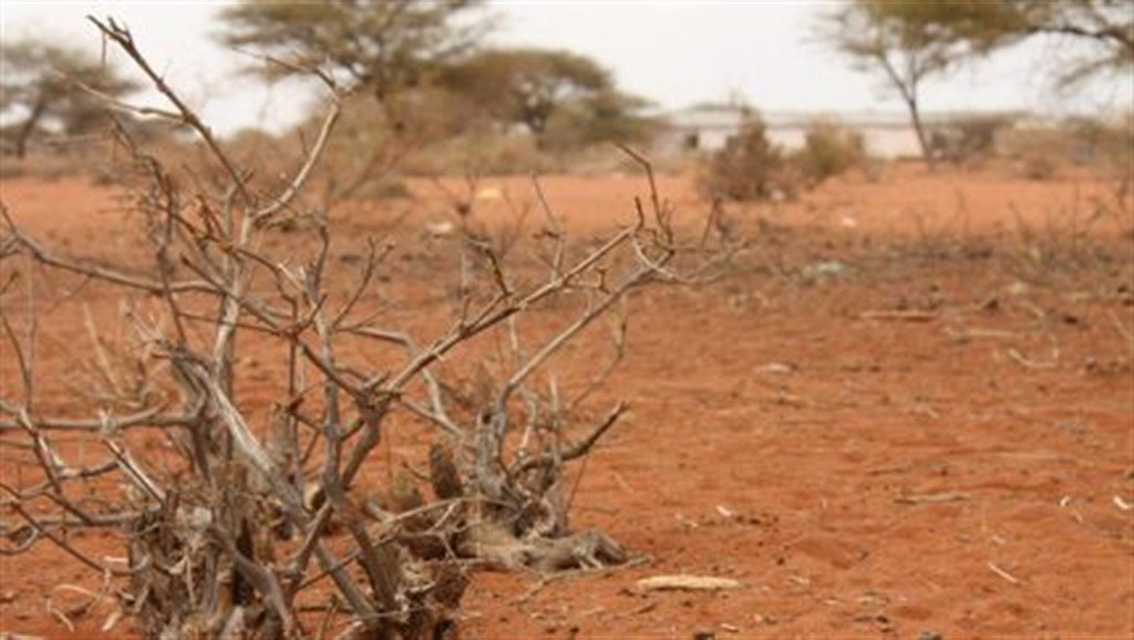 Мексиканские фермеры подали иск против Volkswagen из-за засухи