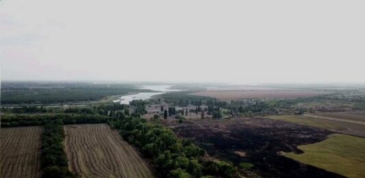 Возле Кривого Рога произошла экологическая катастрофа - today.ua