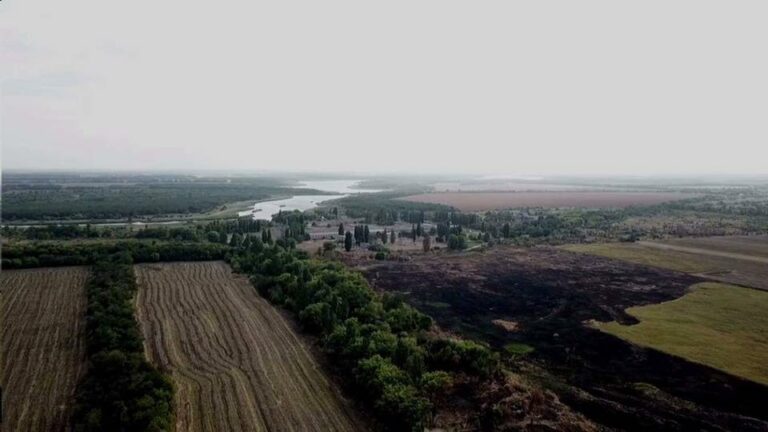 Біля Кривого Рогу сталася екологічна катастрофа - today.ua