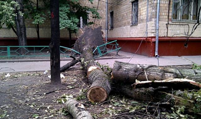 На Украину надвигается шторм: спасатели сделали предупреждение - today.ua