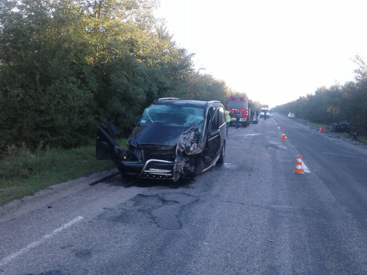 У страшній ДТП на Запоріжжі загинуло чотири людини