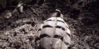 В Одеській області під час пошуків металу чоловік знайшов гранату, яку залишив як сувенір - today.ua