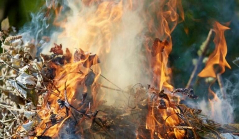 За сжигание листьев украинцев будут штрафовать - today.ua