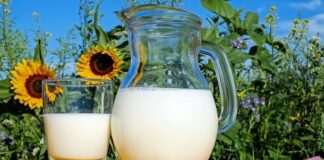 В Украине сокращается производство молока – Госстат - today.ua