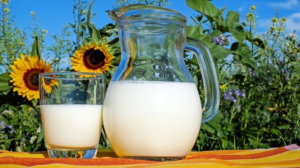 В Україні скорочується виробництво молока – Держстат - today.ua